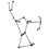 Introduction to Constellations