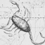 Scorpius