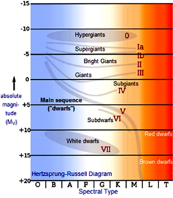 diagram.jpg