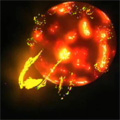 Click for high-resolution animation