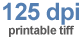 Click for 125 dpi image