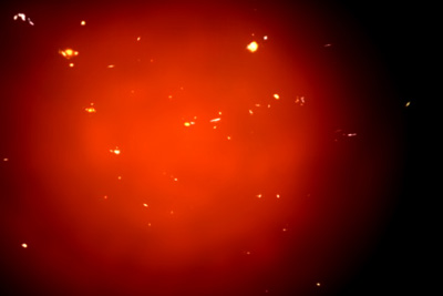 Animation Stills: Galaxy Cluster (1)