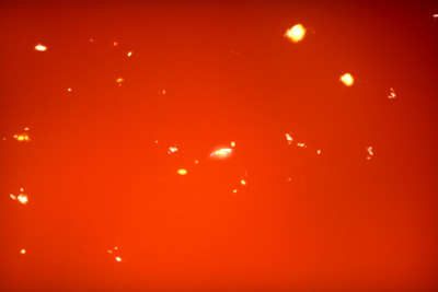 Animation Stills: Galaxy Cluster (1)