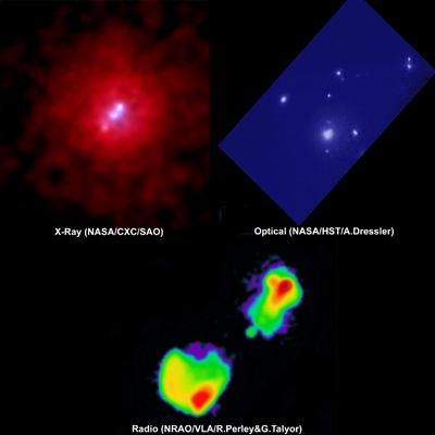 3C295 Multiwavelength Composite