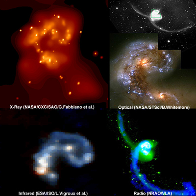 Antennae Multiwavelength Composite