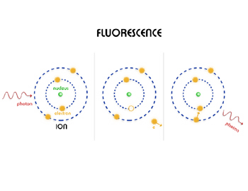 Fluorescence