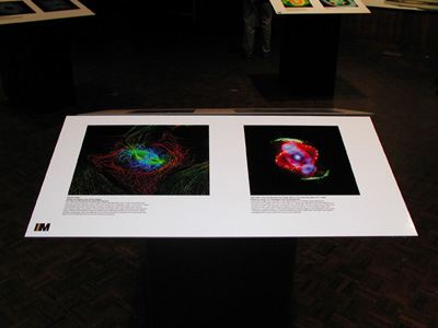 Image and Meaning Conference