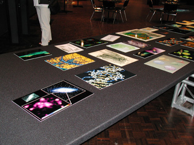 Image and Meaning Conference