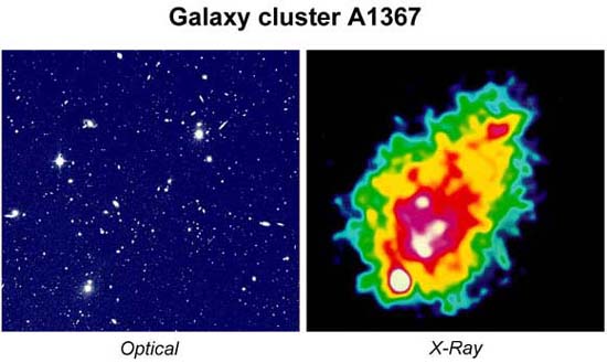 Optical Vs. X-Ray Picture