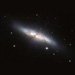 M82