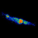 M82, Radio