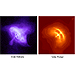 Crab Nebula/Vela Pulsar