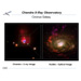 Circinus Galaxy