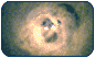 galaxy clusters