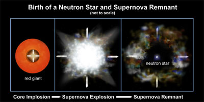 Nascimento de uma Estrela de Nêutrons e Restante de Supernova
