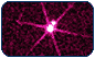 white dwarf stars