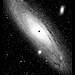 M31