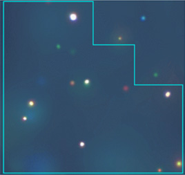 Chandra Deep Field-North