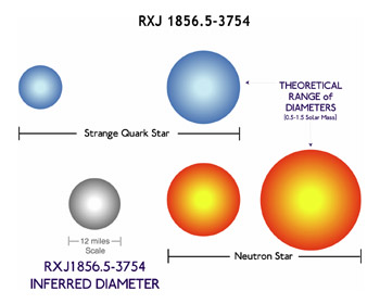 Size Comparison of RX J1856 to Neutron and Quark Stars
