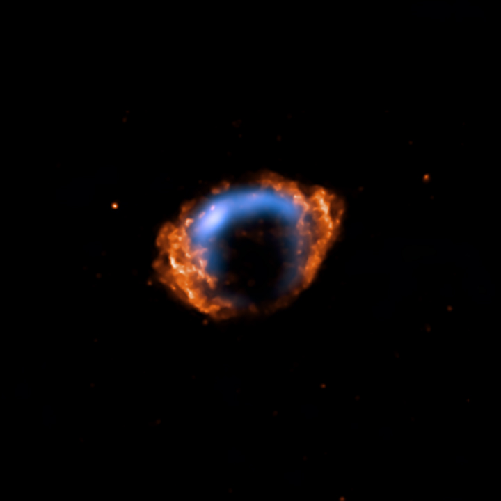 Radio and X-ray Image of the Youngest Known Supernova in Our Galaxy