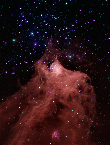 cepheus b