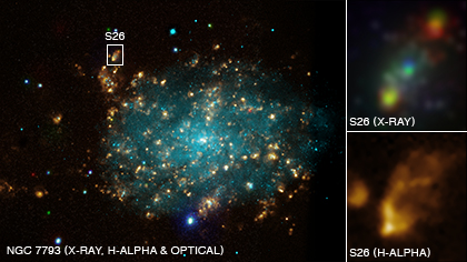 NGC 7793