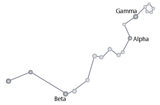 Hydra Star Constellation