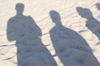 Shadows: Light That Does Not Pass