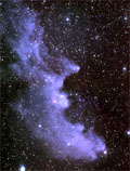 Witch Head Nebula (Gary Stevens)