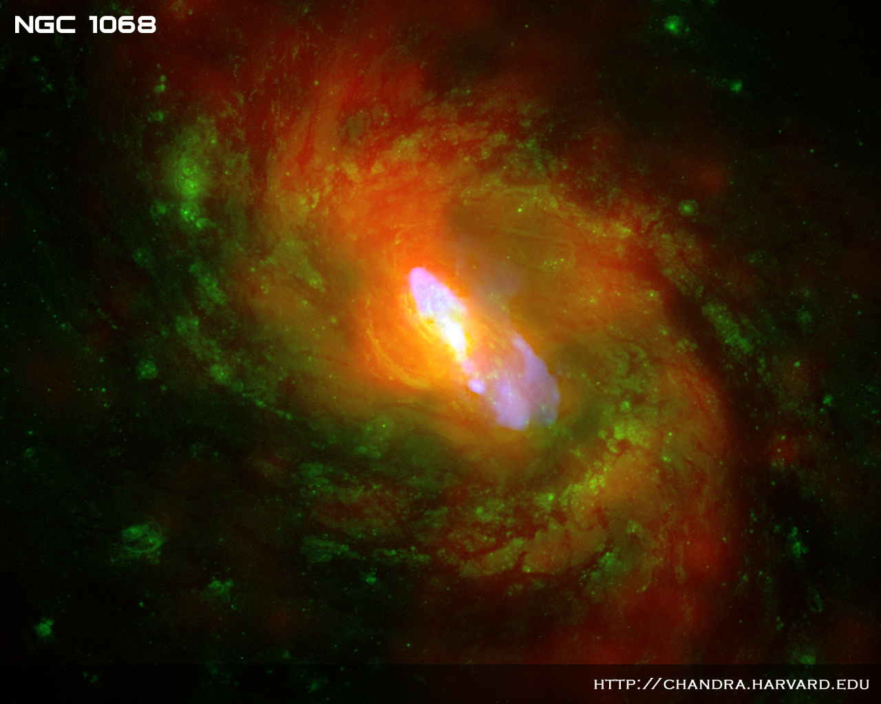 Chandra Photo Album NGC 1068 March 3, 2010 picture