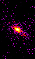 Chandra NGC 4151 X-ray Image