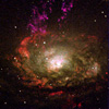 Circinus Galaxy-Optical