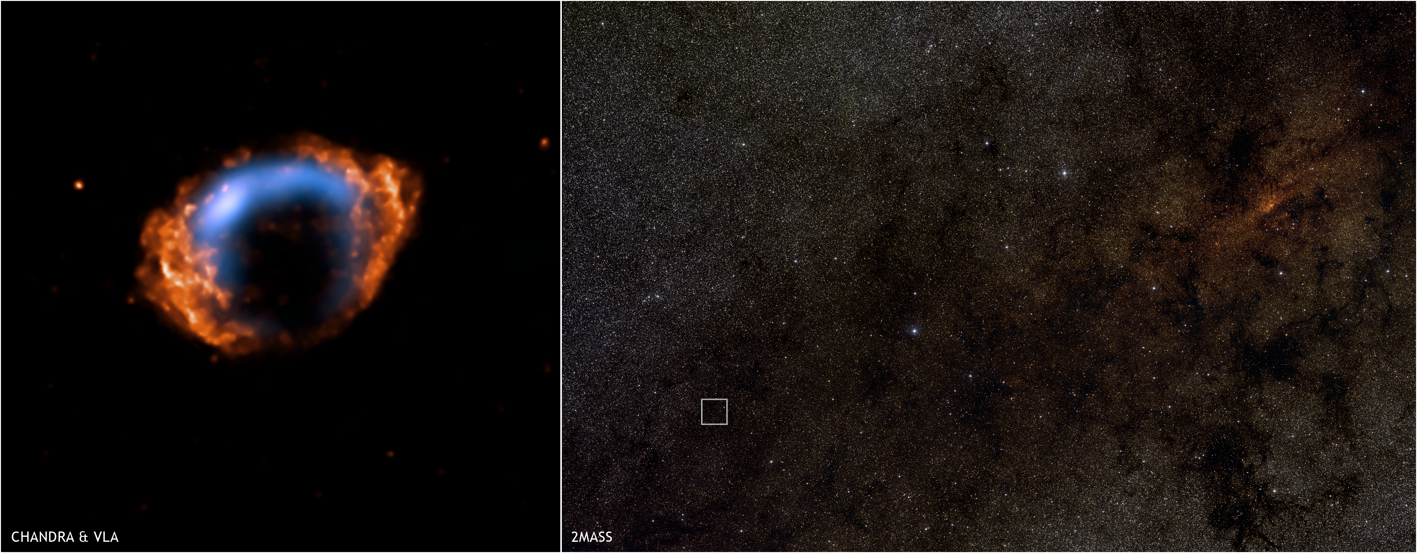 toevoegen bladeren doorboren Chandra :: Photo Album :: G1.9+0.3 :: May 14, 2008