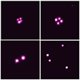 Gravitationally Lensed Quasars