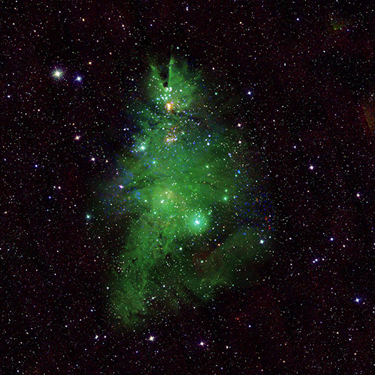 A still image of the Christmas Tree Cluster, NGC 2264.