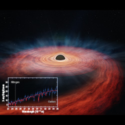 ASASSN-14li