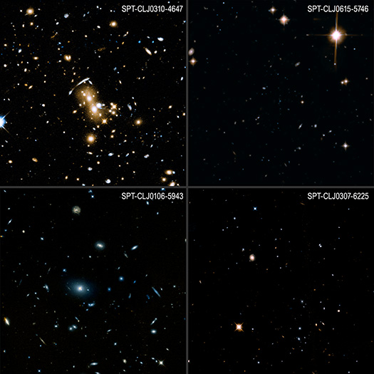 Brightest Cluster Galaxies Survey