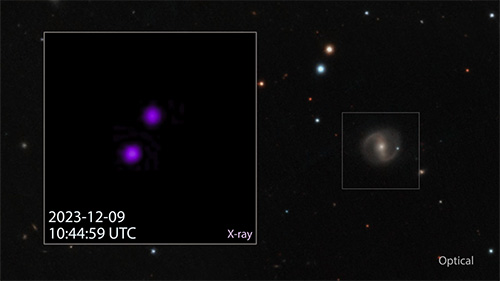 Chandra :: Photo Album :: AT2019qiz :: October 9, 2024