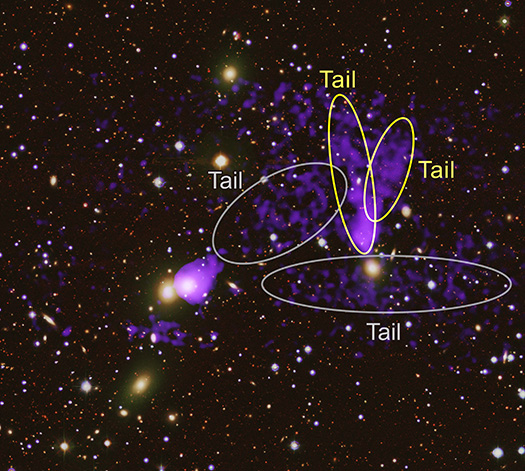 Image of Zwicky 8338 with tails labeled.