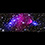NASA Webb 'Pierces' Bullet Cluster, Refines Its Mass