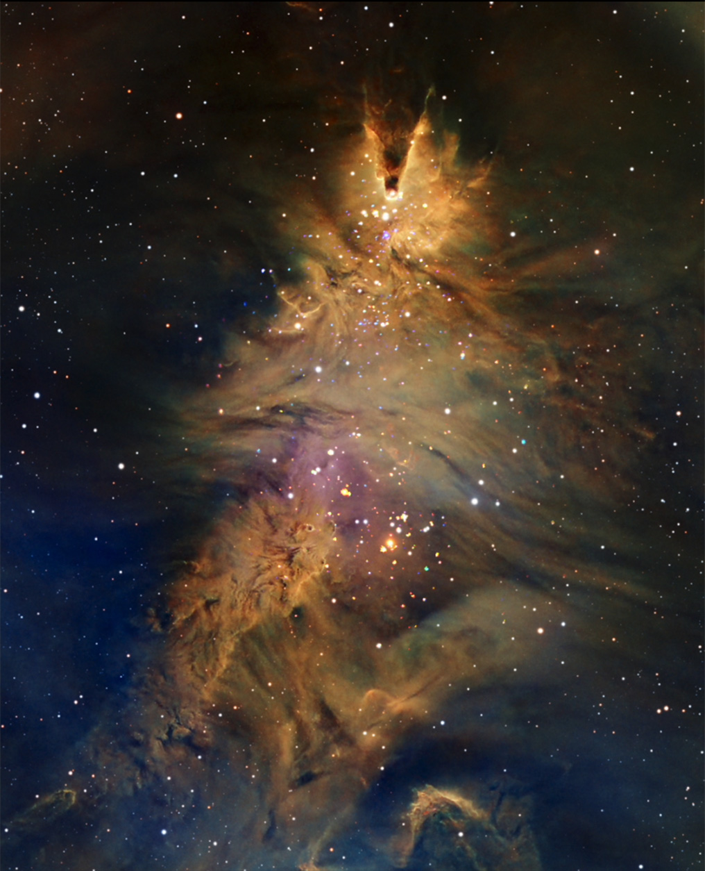 Chandra :: Photo Album :: Holiday Collection :: December 22, 2025