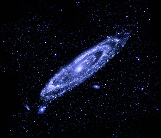 M31
