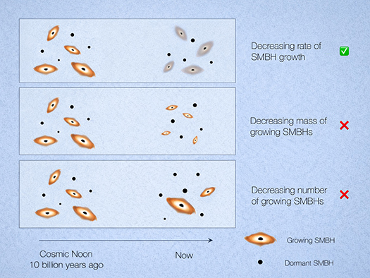 An illustration of possible black hole growth scenarios.