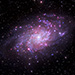 Click for large jpg
