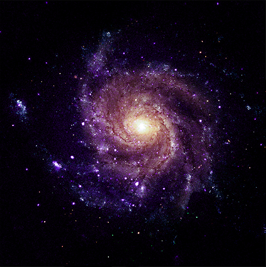 M101