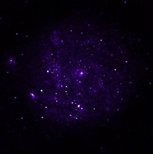 M101