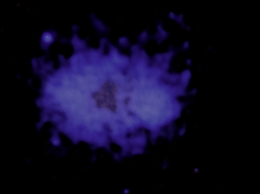 VLSS J0318.9+5755