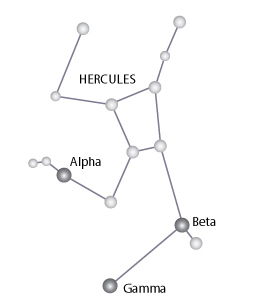alpha herculis