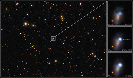 A wide field image on the left with an illustrated box around the object with a pullout showing three images on the right. Three images on the right show the evolutionary progress of supernova SN 2026gzf.